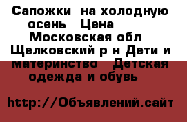 Сапожки  на холодную осень › Цена ­ 600 - Московская обл., Щелковский р-н Дети и материнство » Детская одежда и обувь   